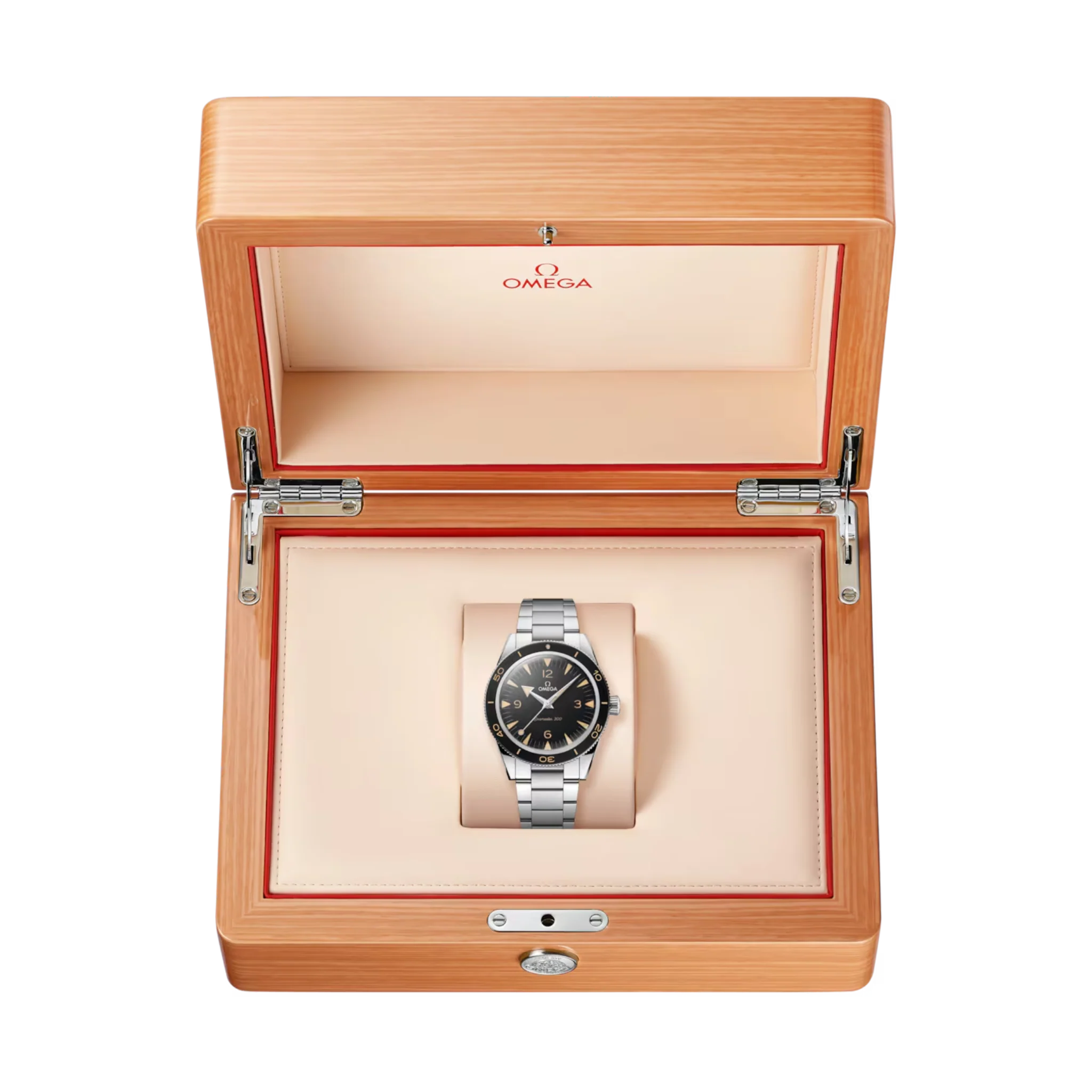SEAMASTER 300 MASTER CO AXIAL - Image 3
