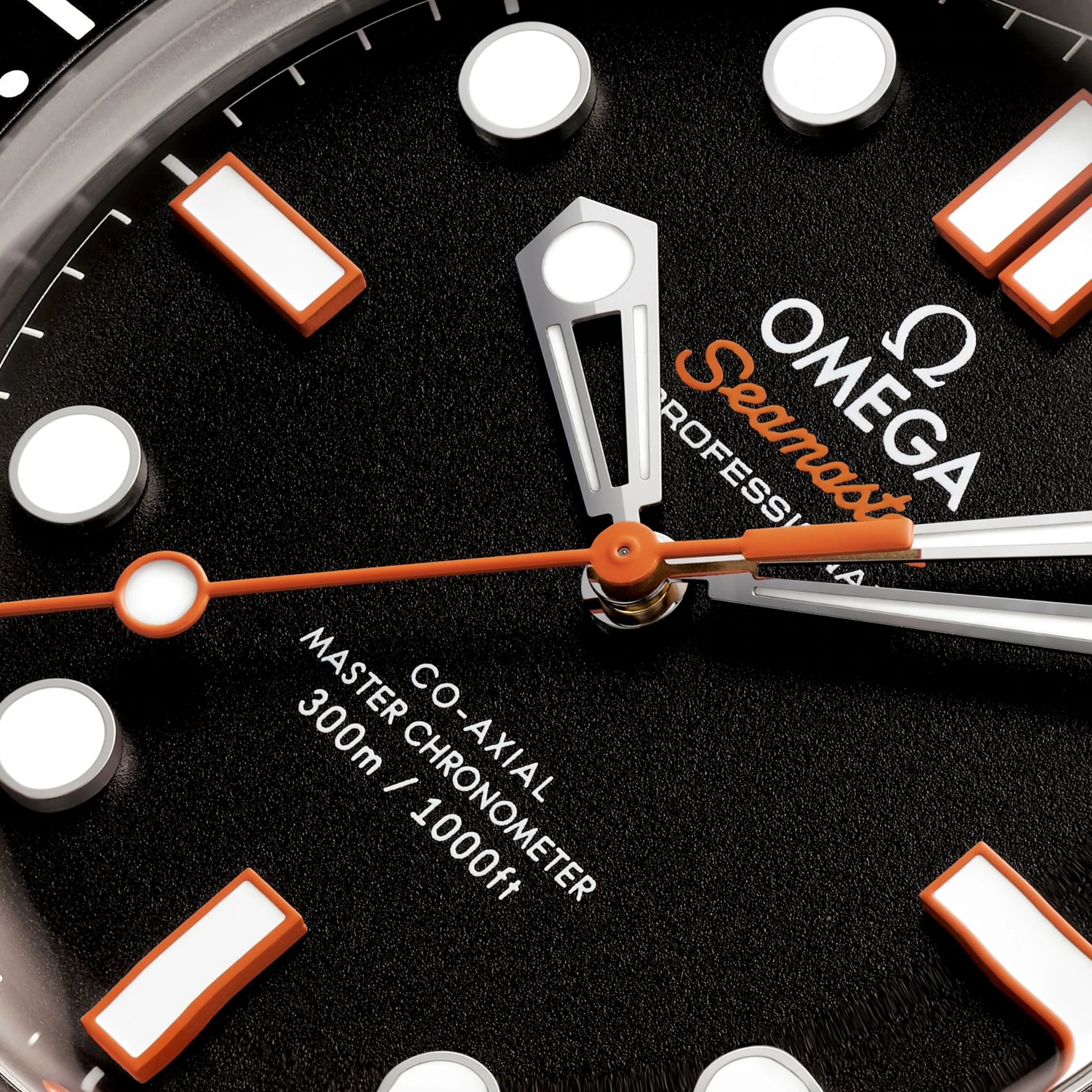 SEAMASTER DIVER 300M - Image 2